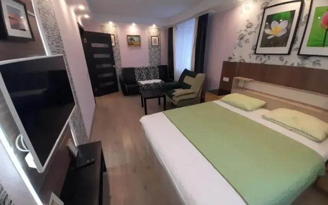 Апартаменты с 1 комнатой недалеко от проспекта Ленина (КВАРТИРА51)