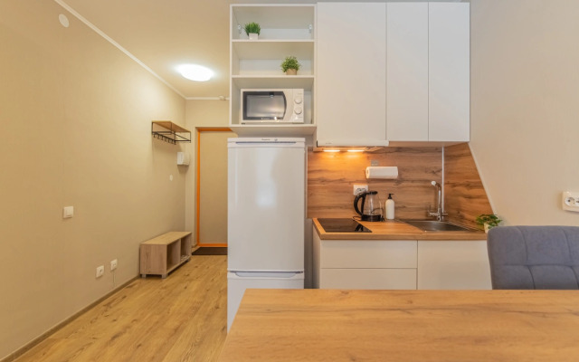 Apartment Standart SalutApart 8