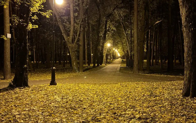 Апартаменты в ЖК Парк Челюскинцев