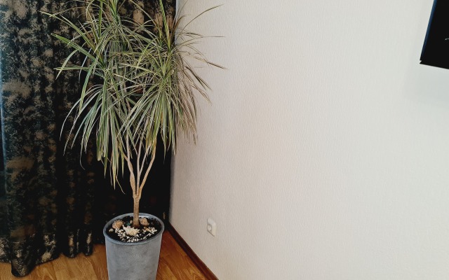 Dvukhkomnatnye na Kuzbasskoy Divizii 24 Apartments
