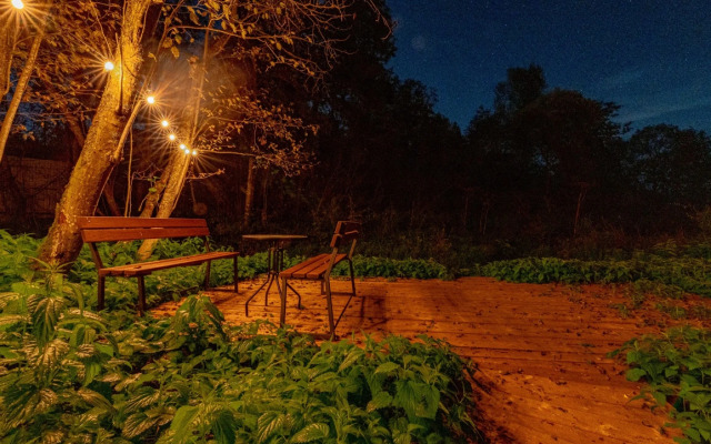 Afrejm s vidom na les №3 Private House