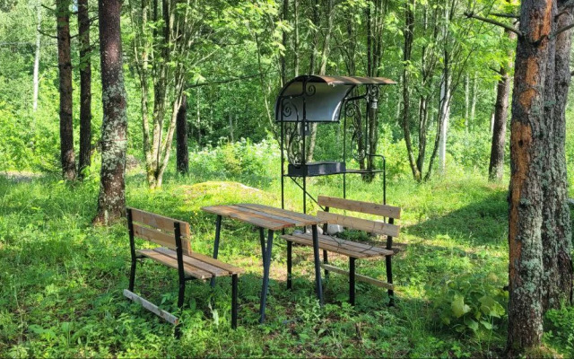 Частный дом Аскелма-Сосна