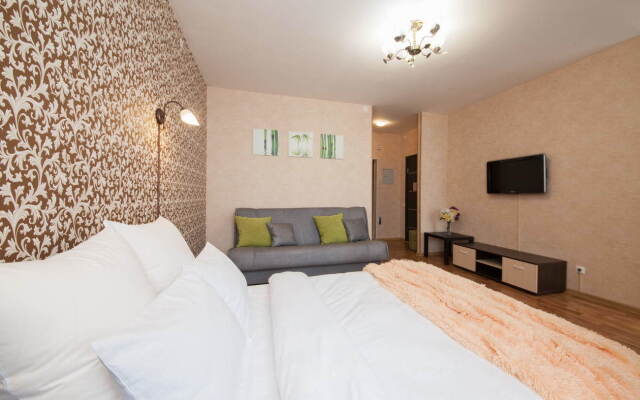 Квартира однокомнатная на  Алексеева 53