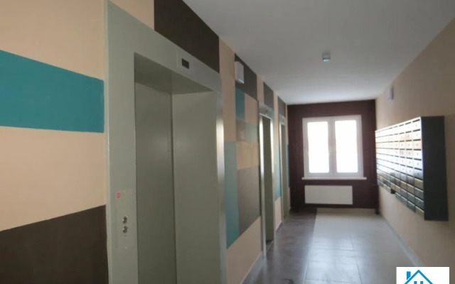 Апартаменты Серый Гусь