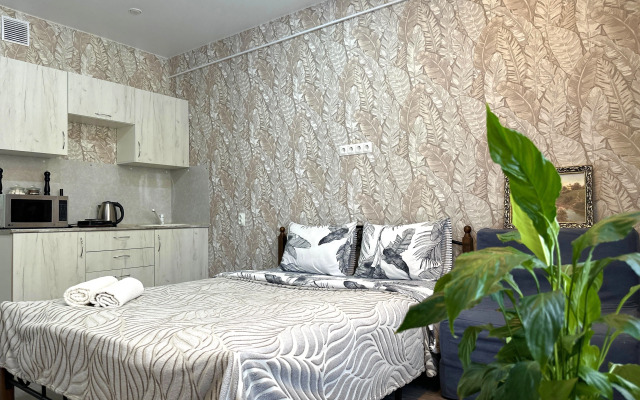 Апартаменты Дом 89 на улице Петуха 3/1