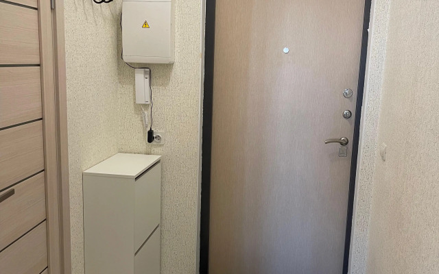 Uyutnaya Studiya Flat