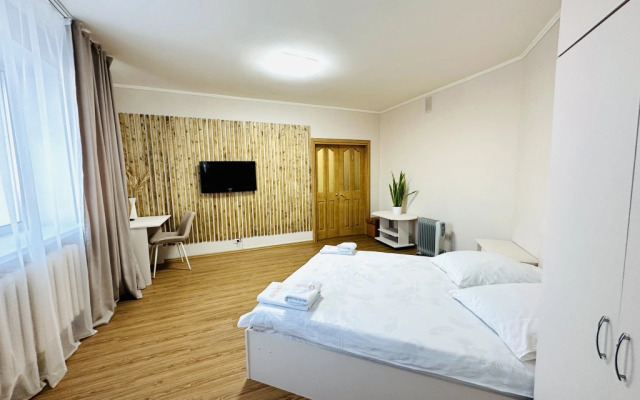 Апартаменты 070 Флэтс-Лайн на улице Красноармейская 100