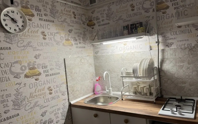 Rybnaya Derevnya Apartments