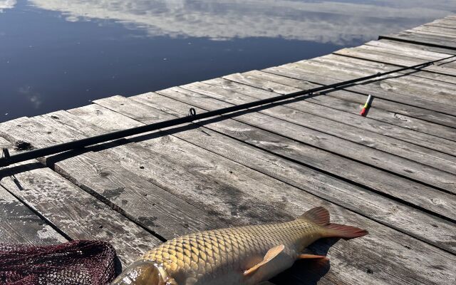 Частный дом Дом у озера