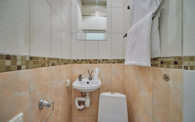 V Tsentre Goroda Flat