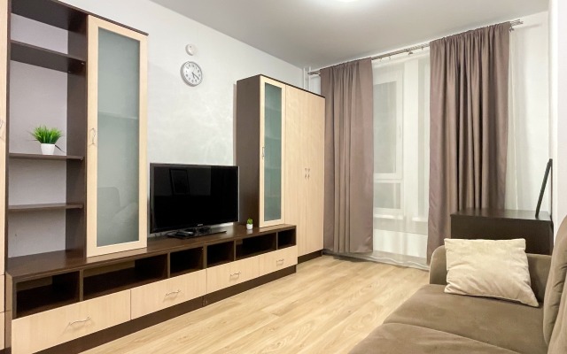 Sunny Days Apartment Sosnovaya