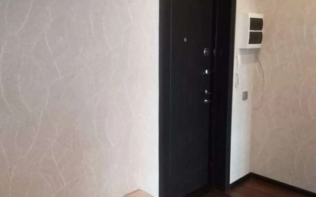 Na Ulitse Pushkina 158/1 Apartments