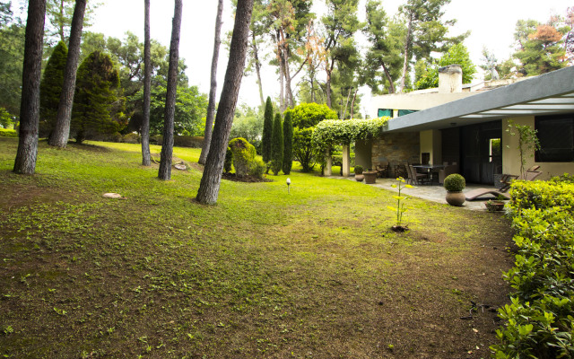 Araucaria Shared Pool Sani Villa