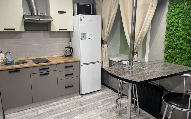 Na Lenina 31A Flat
