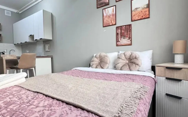 Уютная студия у метро Семёновская