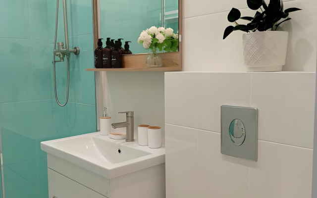 Mint Apple Tsentr Sochi Apartments