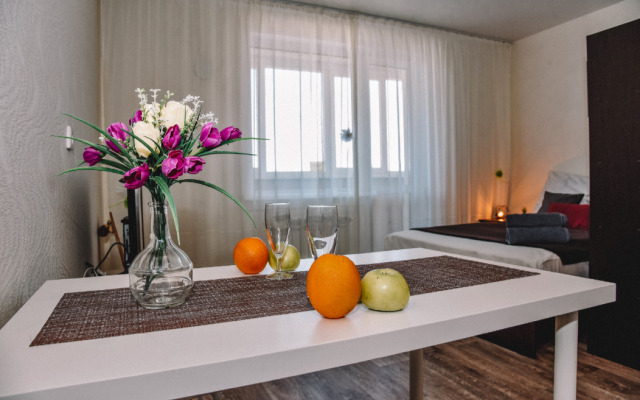 One-room RusDom  in the city center Apartments