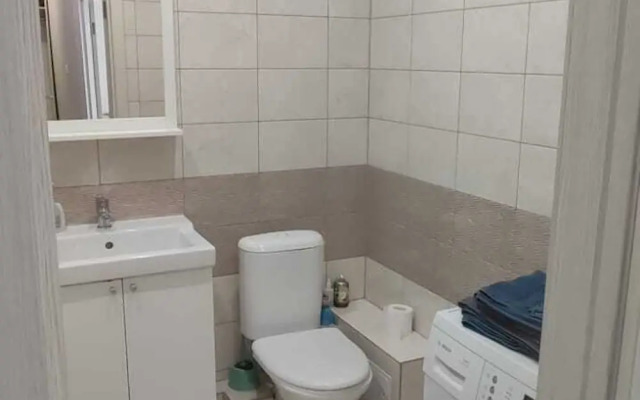 Na ulitse Rogozhnikova 17 Flat