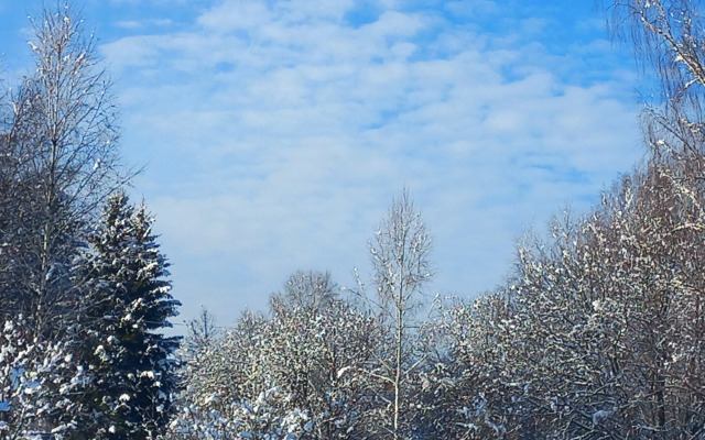 Частный дом Речная Заимка