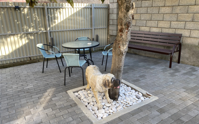 524 Guest house