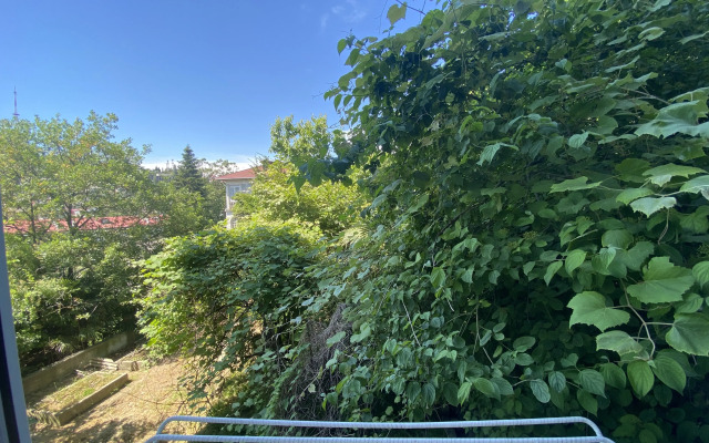 Apartments s Vidom na Sad