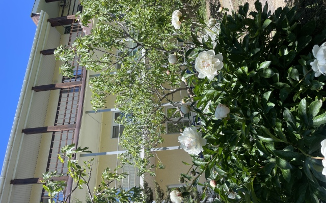 Inzhir Mini Hotel