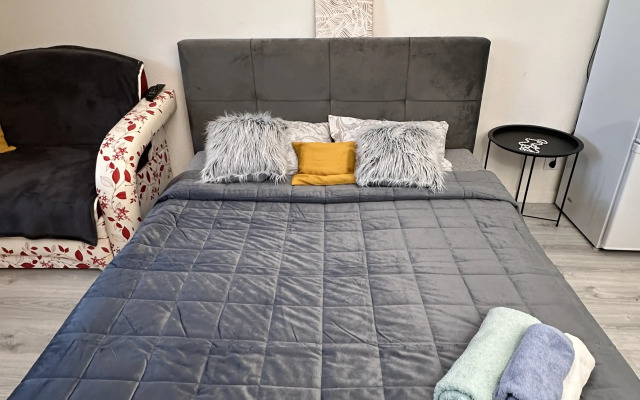 Svetlaya S Udobnoy Krovatyyu Flat