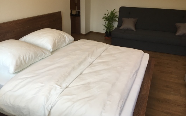 Апартаменты Квартира в центре города напротив Филармонии