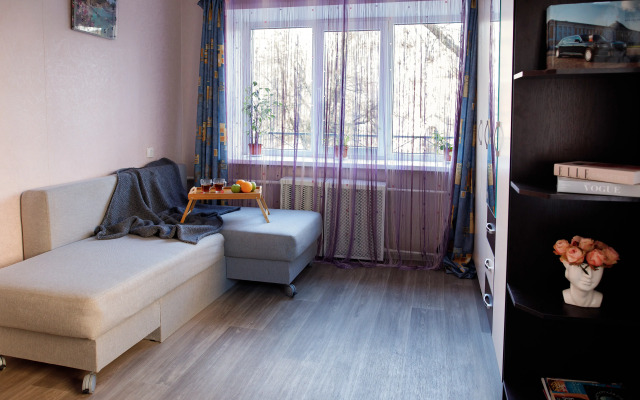 Uyutnaya Kvartira V Tsentre Apartments