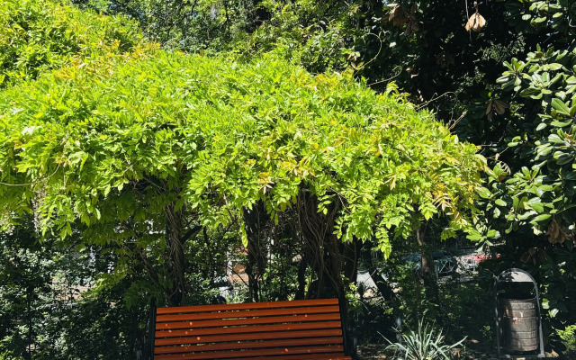 Апартаменты Пальма 6