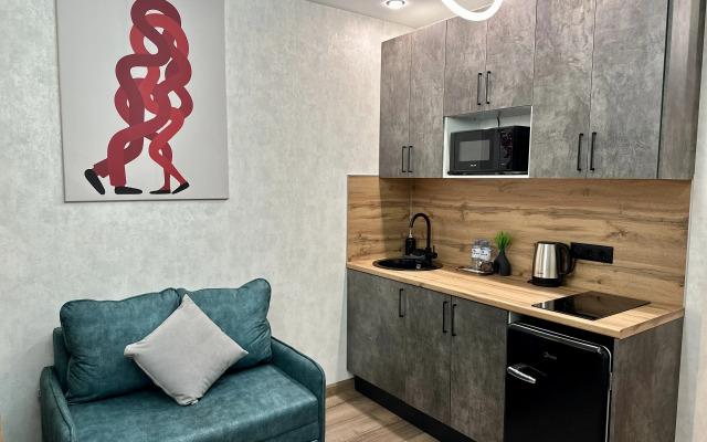 Studya U Aeroporta Vnukovo Flat