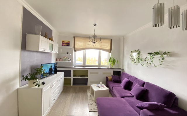 Апартаменты Фридланские Ворота