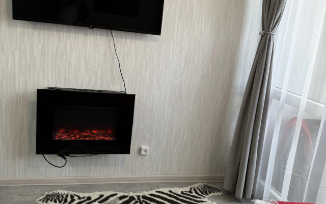 Studiya S Kaminom U Parka Flat