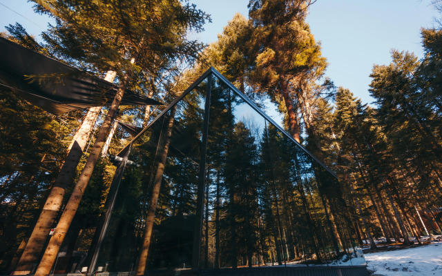 Magic Forest Glamping