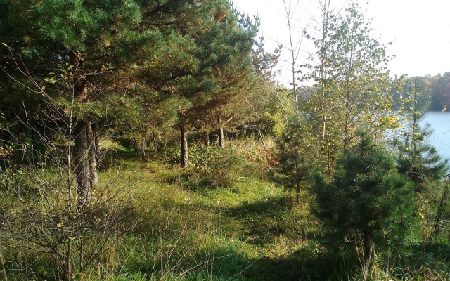 Holiday House Slobodka 74