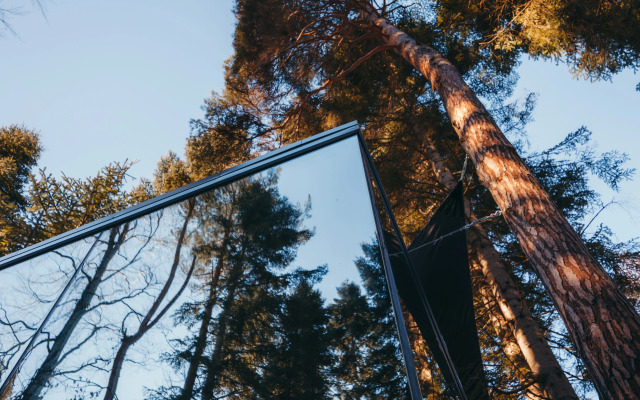 Magic Forest Glamping