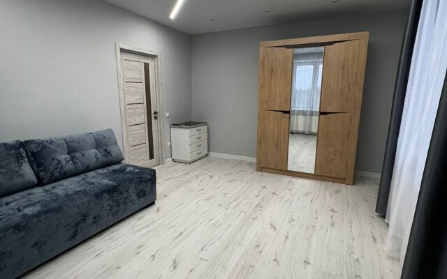 Апартаменты Авион Серебрянный бор