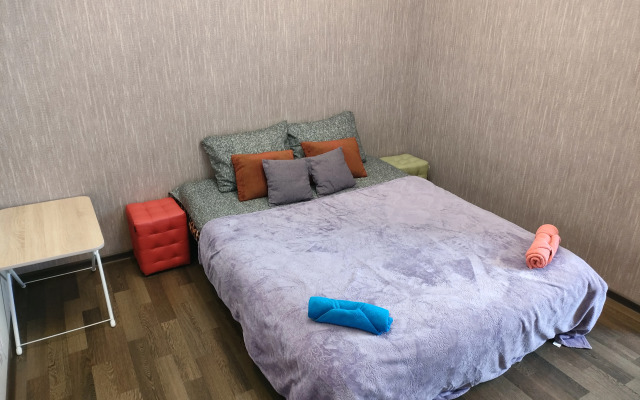Uutnye na Peshkova 55 ryadom s bolnitsey Vodnikov Apartments