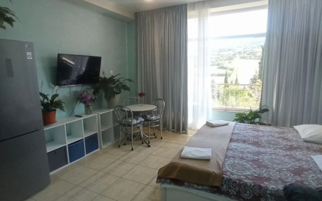 Studiya 1 3 Apartments