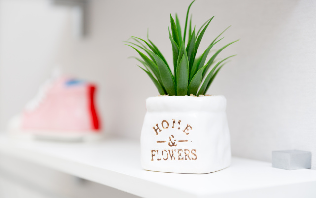 Апартаменты Азбука Edel Tower