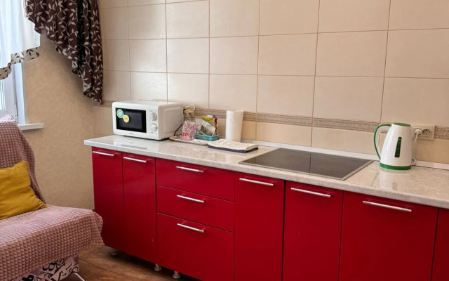 Odnokomnatnyie V 17 Mikrorayone Apartments