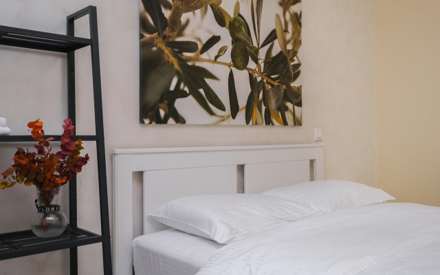 Апартаменты Домант Романова 60