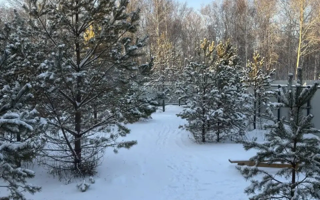 Частный дом в лесу