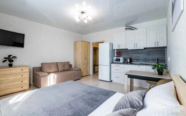 Апартаменты DreamHouse ЖК Vectori 2