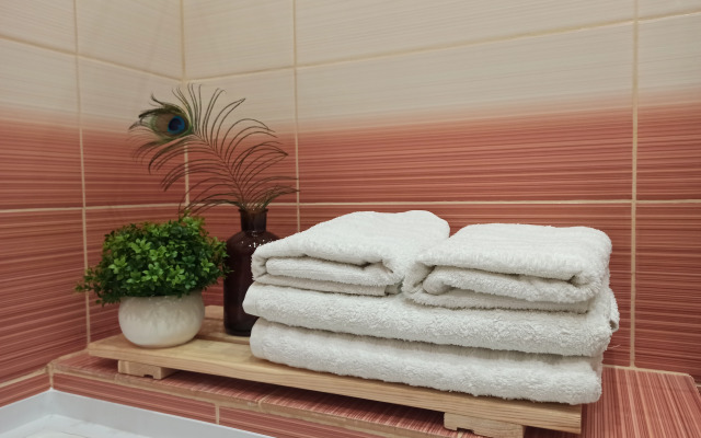 Апартаменты двухкомнатные на Дуки 71, Оливковая