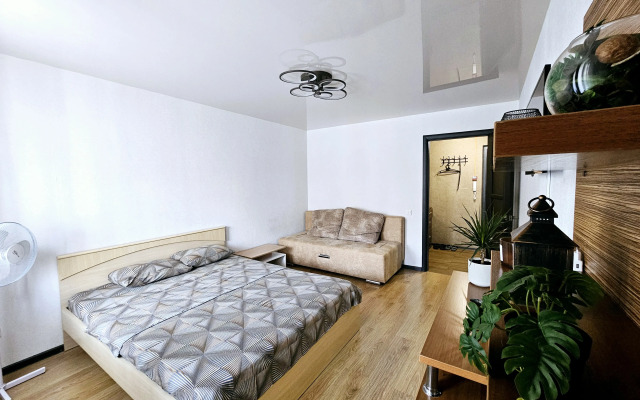 Odnokomnatnaya Flat