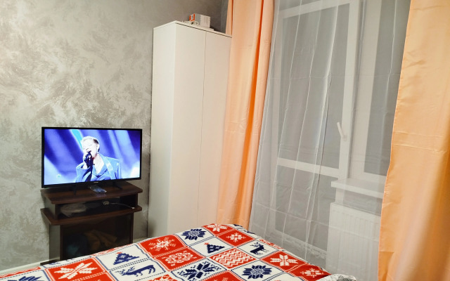 Vidovaya Studiya Aeroport Tolmachevo Apartments