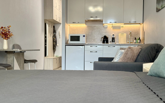 Квартира Студия с Видом на Город