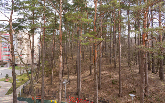 Апартаменты Silent Lake Studio