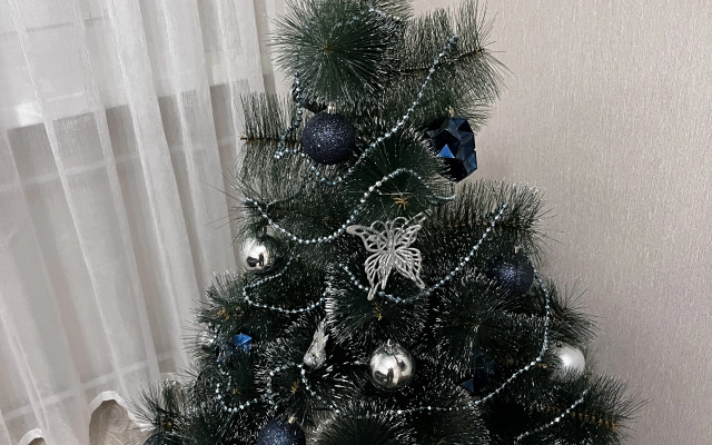 Квартира Двухкомнатная в центре Петрозаводска рядом с озером